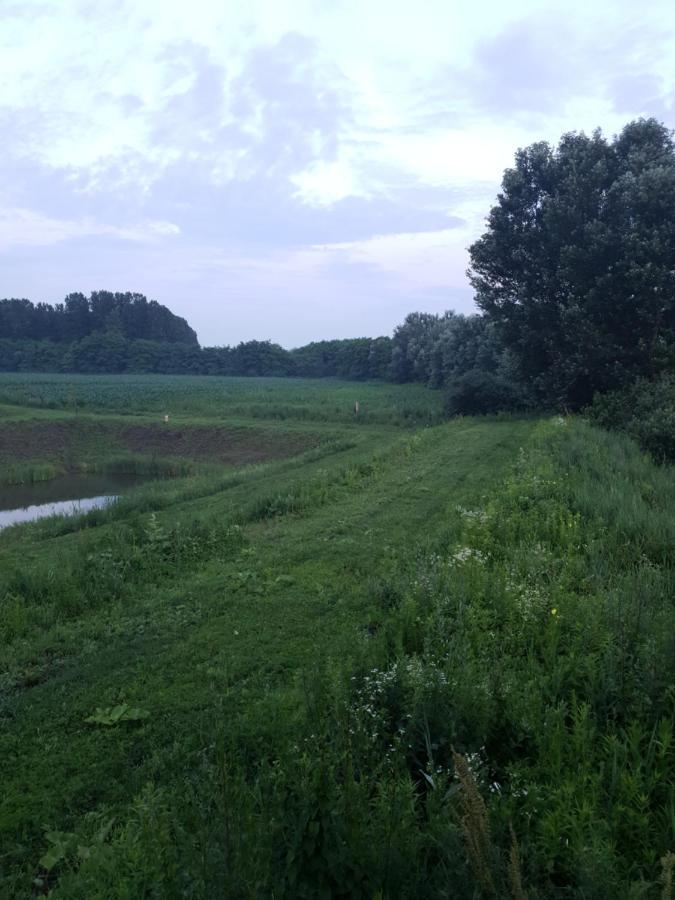 Nowhere Nyirmihalydi Buitenkant foto